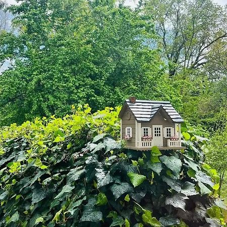 Cozy Private Home, 1 Acre Orchards Near Apple Hill Placerville Ngoại thất bức ảnh