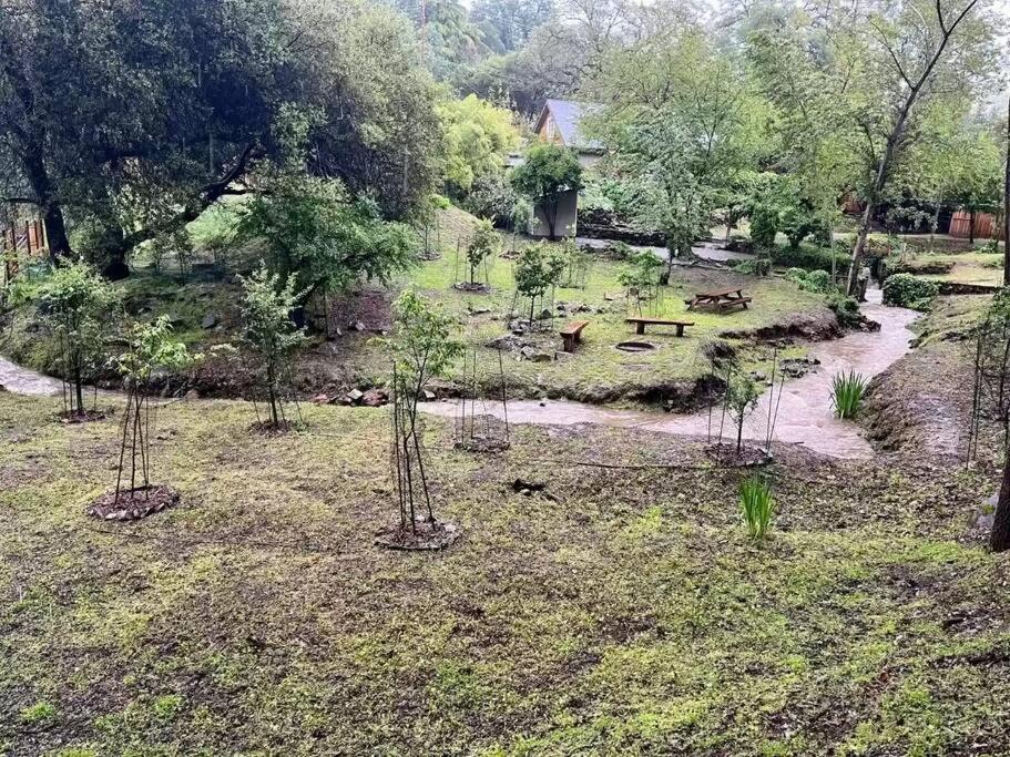 Cozy Private Home, 1 Acre Orchards Near Apple Hill Placerville Ngoại thất bức ảnh