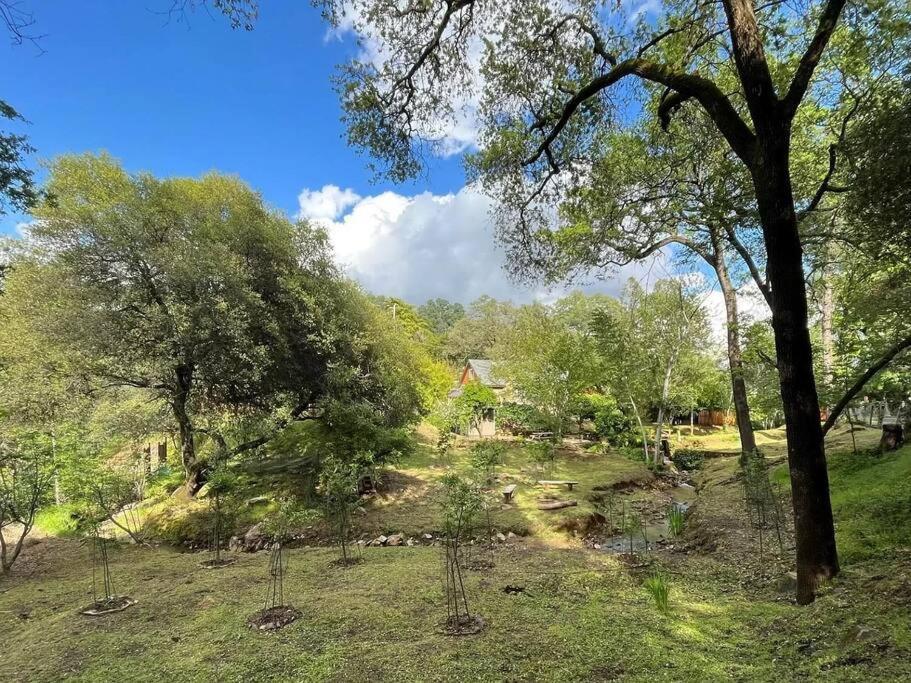Cozy Private Home, 1 Acre Orchards Near Apple Hill Placerville Ngoại thất bức ảnh