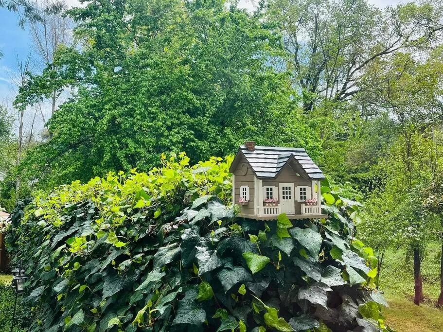 Cozy Private Home, 1 Acre Orchards Near Apple Hill Placerville Ngoại thất bức ảnh