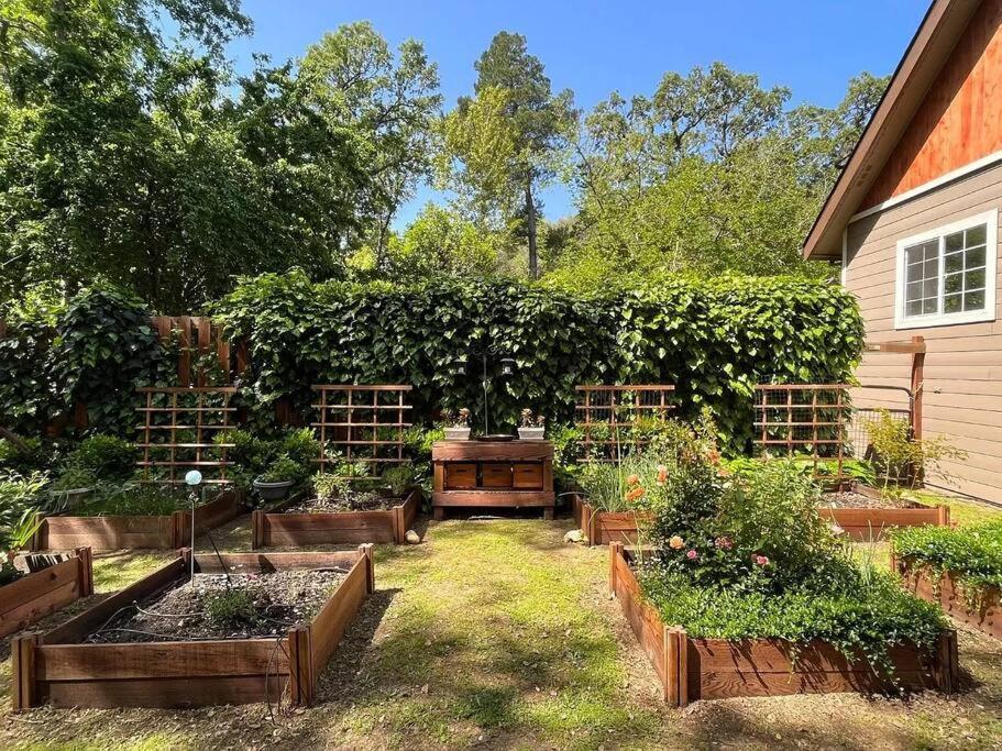Cozy Private Home, 1 Acre Orchards Near Apple Hill Placerville Ngoại thất bức ảnh