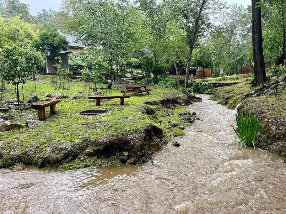 Cozy Private Home, 1 Acre Orchards Near Apple Hill Placerville Ngoại thất bức ảnh